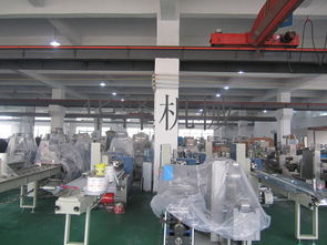 中小企業(yè)福音 溫州產(chǎn)多功能食品包裝機(jī)與軟件開發(fā)服務(wù)，一站式高性價(jià)比解決方案